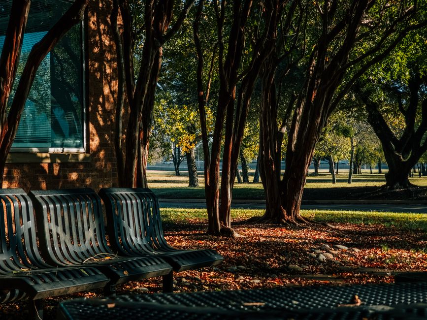 Shaded Benches