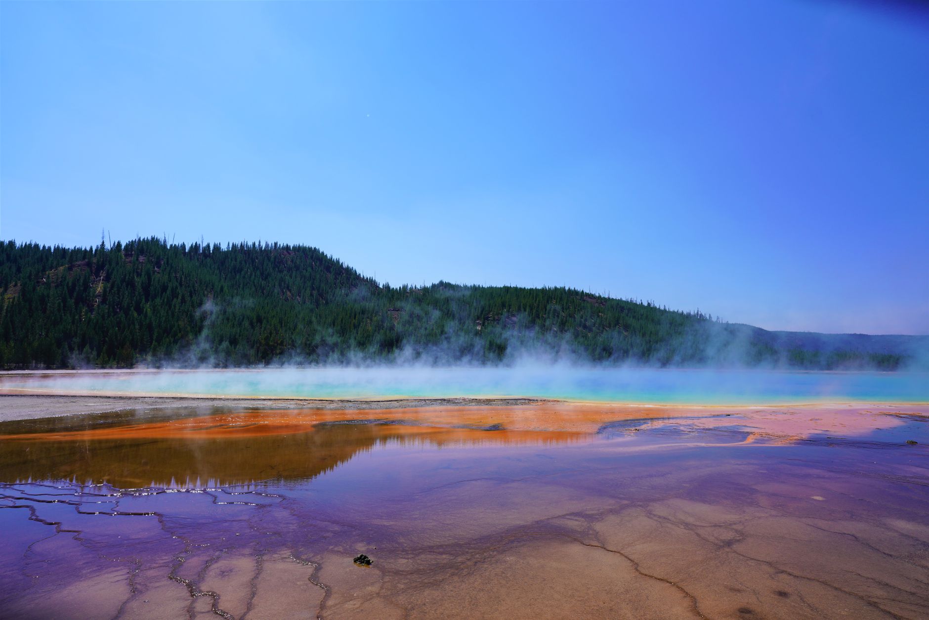 Yellowstone